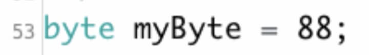 This is a picture of a byte data type.